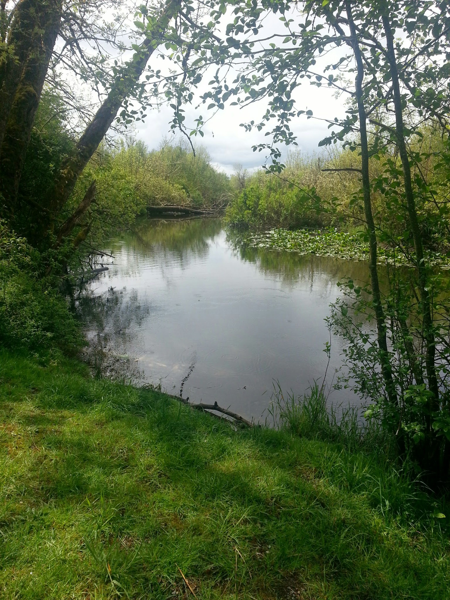 20150505_124121.jpg