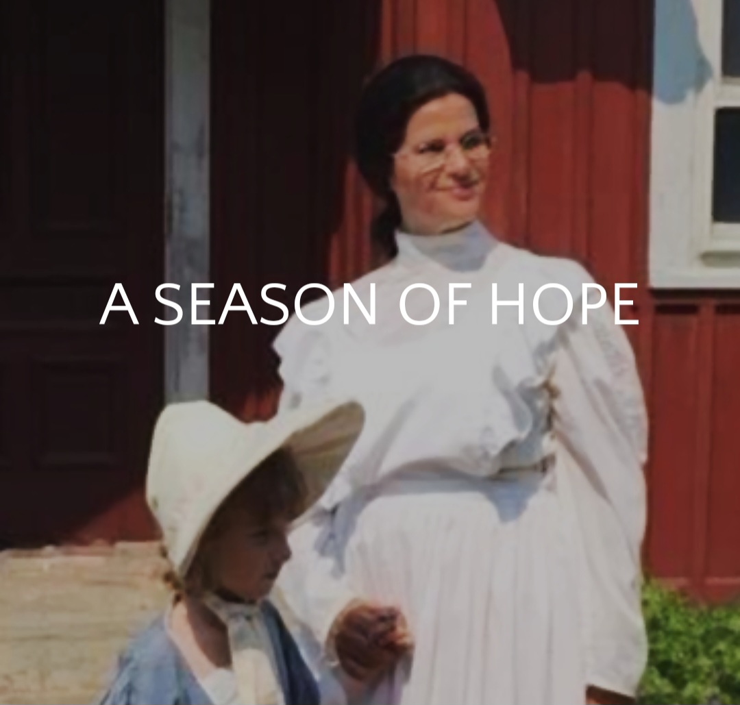 Screenshot_20241120_132922_Chrome